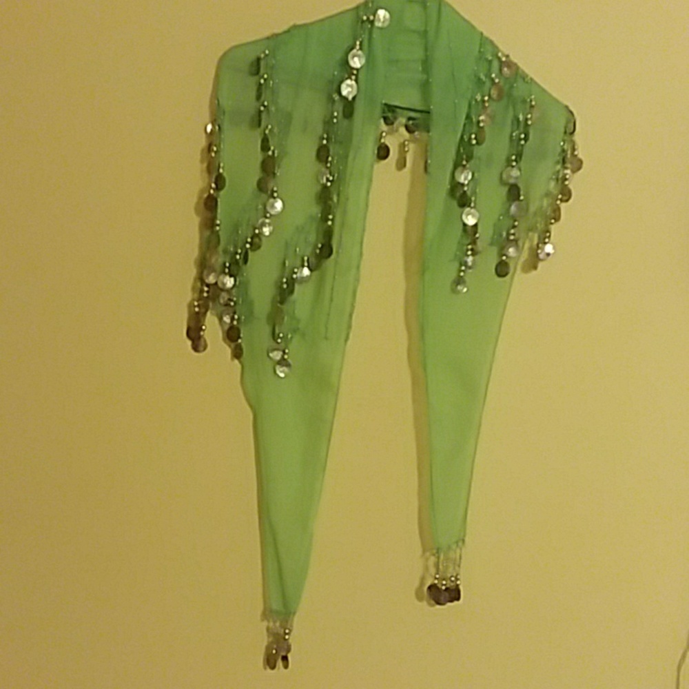 Bellie dancer skirt